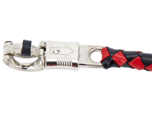 GBW6-BB-GET-BACK-WHIP-CLASP__39614.png