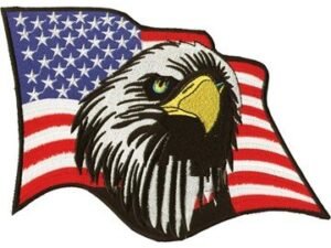 Vest Patch - American Flag With An Eagle Head - PAT-C213-DL